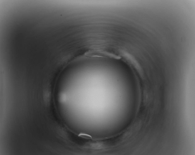 X0000089750113200706281632