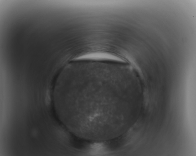 X0000089750114200706281632