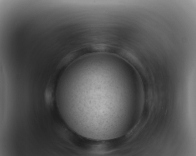 X0000089750116200706281632