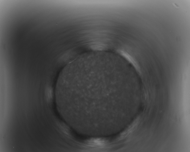 X0000089750117200706281632