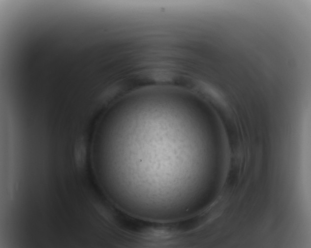 X0000089750120200706281632