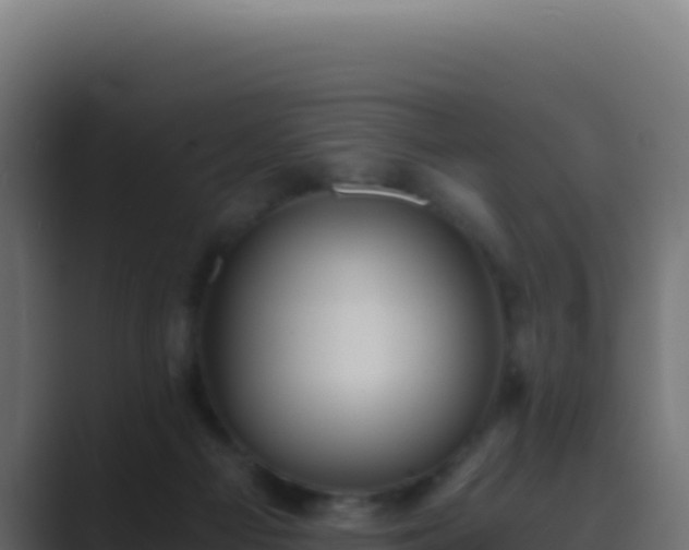 X0000089750121200706281632