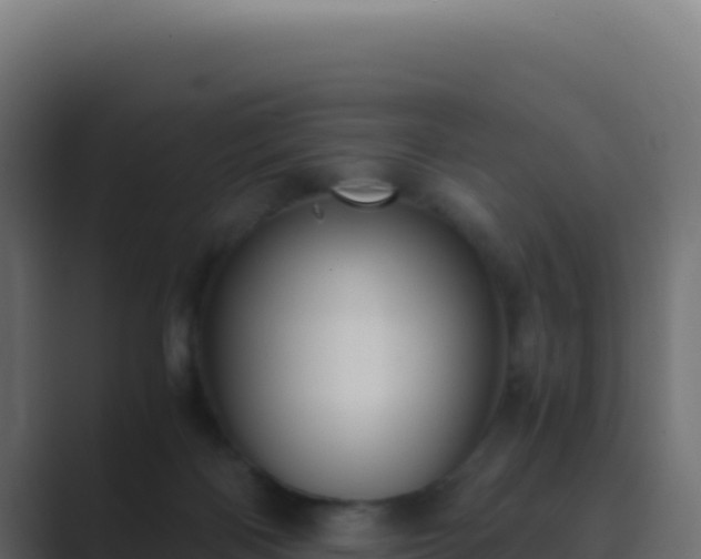 X0000089750122200706281632