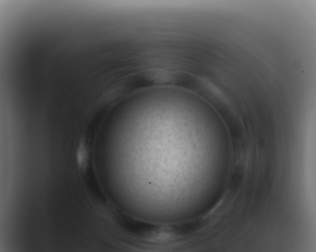 X0000089750124200706281632