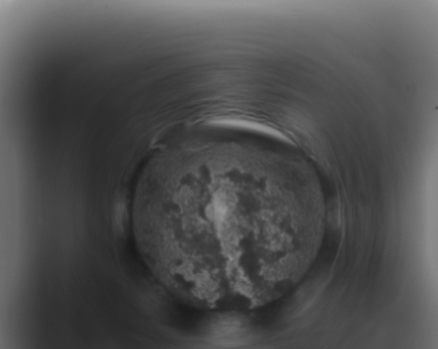 X0000089750127200706281632