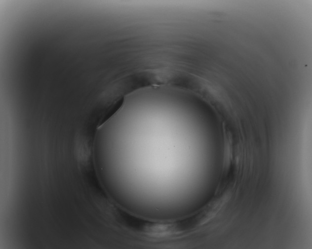 X0000089750129200706281632