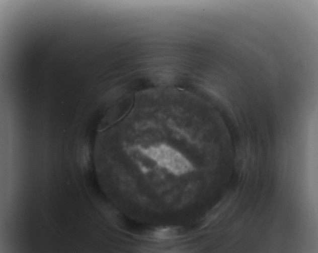 X0000089750130200706281632