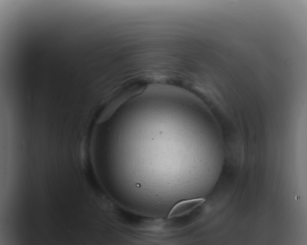 X0000089750131200706281632