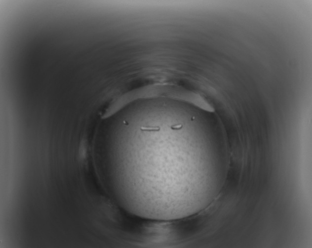 X0000089750132200706281632