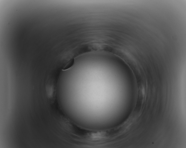 X0000089750134200706281632