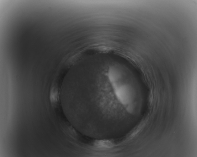 X0000089750137200706281632