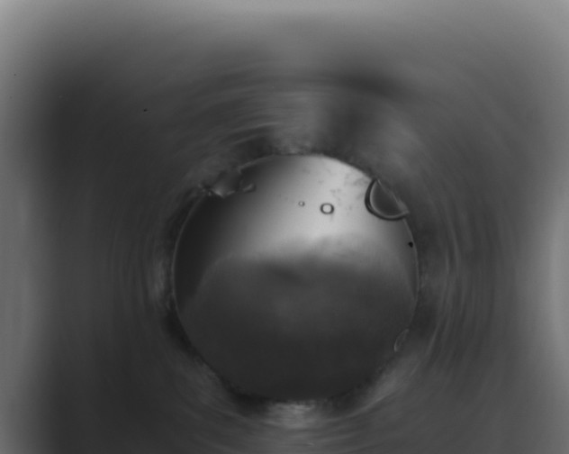 X0000089750139200706281632