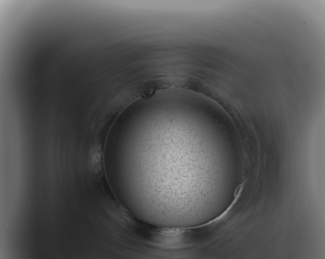 X0000089750144200706281632