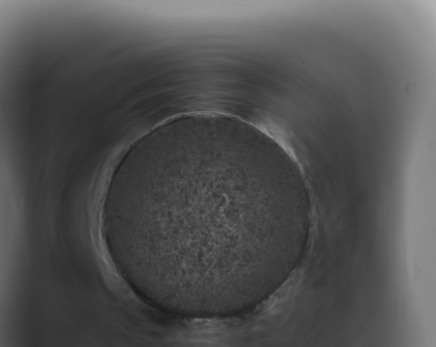 X0000089750145200706281631