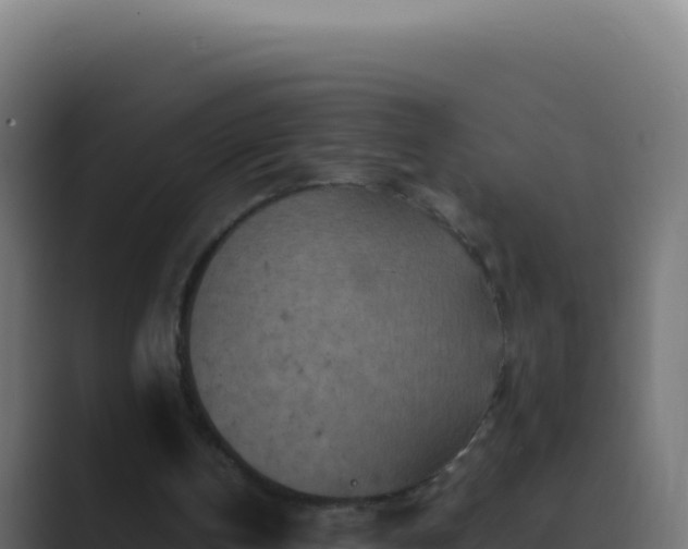 X0000089750146200706281631