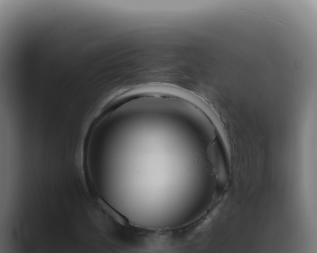 X0000089750148200706281631