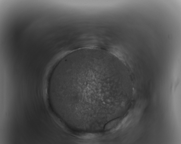 X0000089750149200706281632