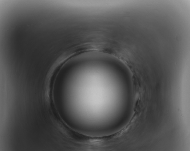 X0000089750150200706281632