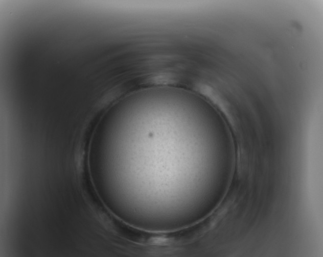 X0000089750153200706281632