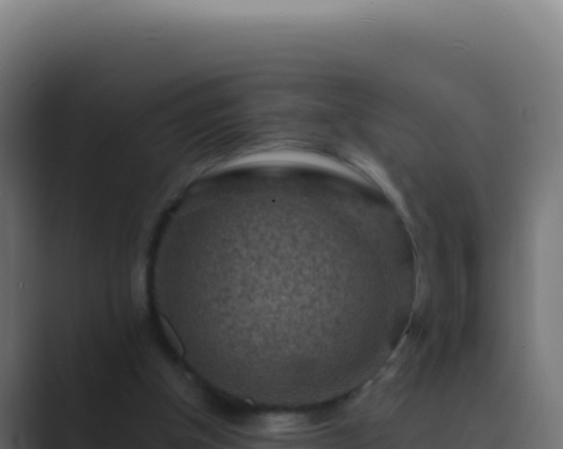 X0000089750154200706281632