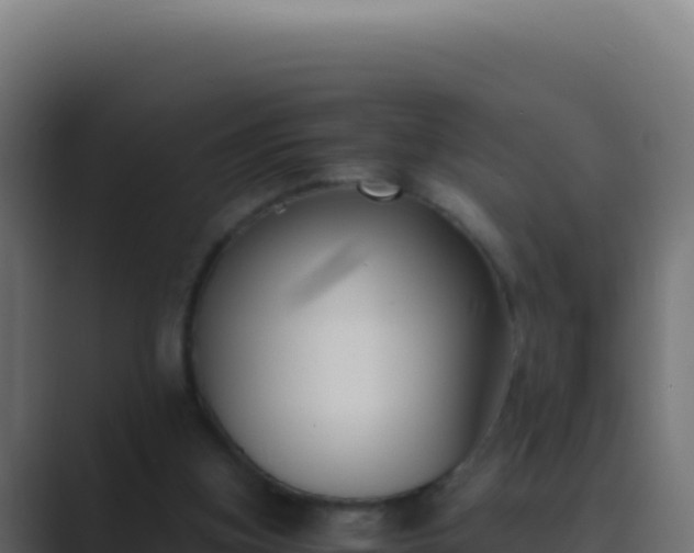 X0000089750155200706281632