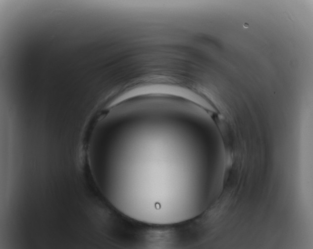 X0000089750160200706281632