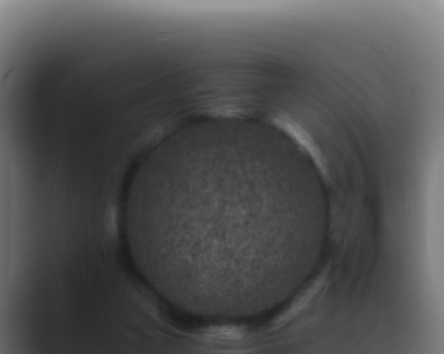 X0000089750161200706281632