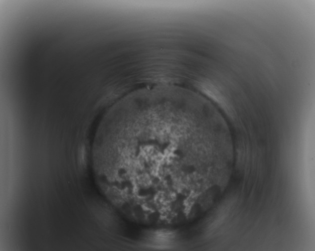 X0000089750165200706281632