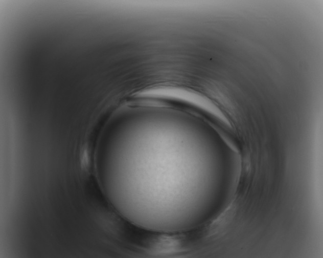 X0000089750166200706281632