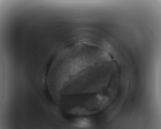 X0000089750169200706281632