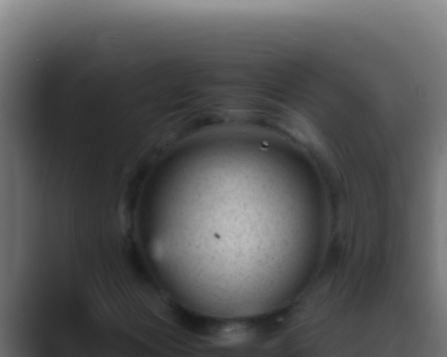 X0000089750173200706281632