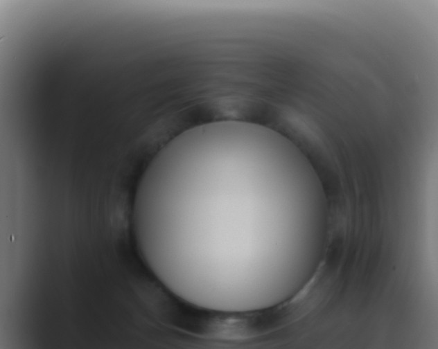 X0000089750174200706281632