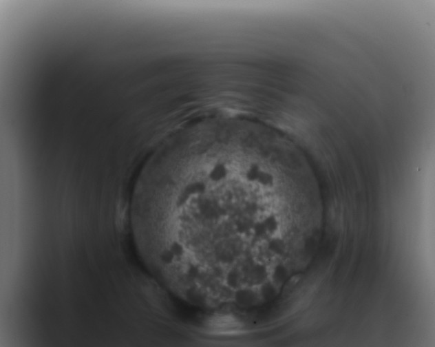 X0000089750177200706281632