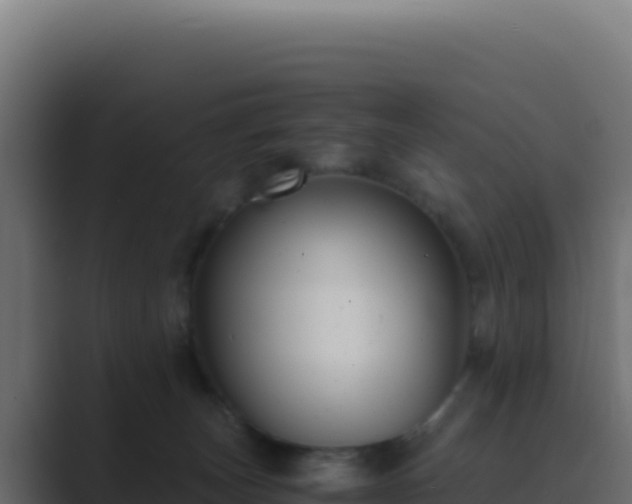 X0000089750179200706281632