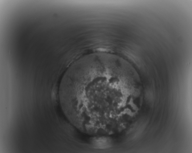 X0000089750181200706281632