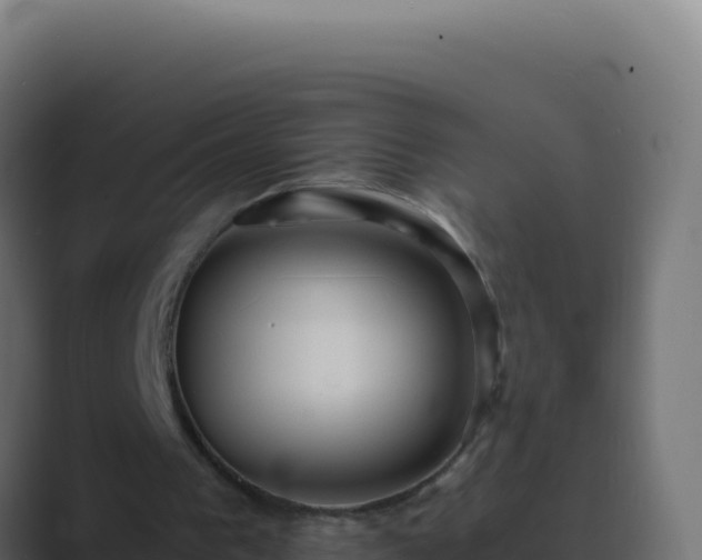 X0000089750193200706281631