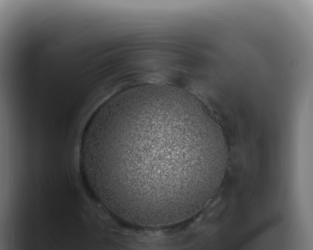 X0000089750194200706281631