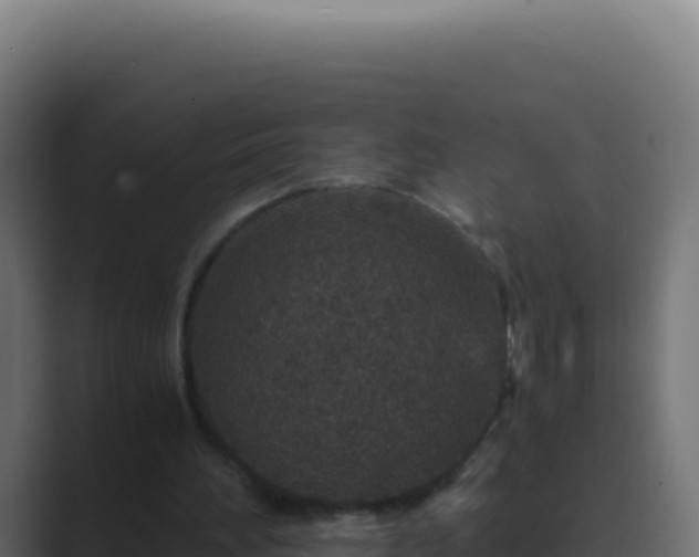 X0000089750196200706281631