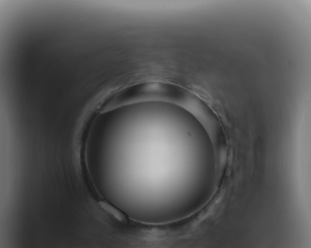 X0000089750197200706281631