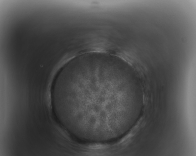 X0000089750198200706281631