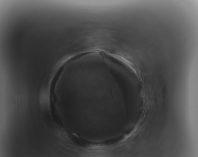 X0000089750200200706281631