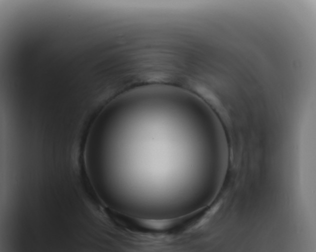 X0000089750201200706281631