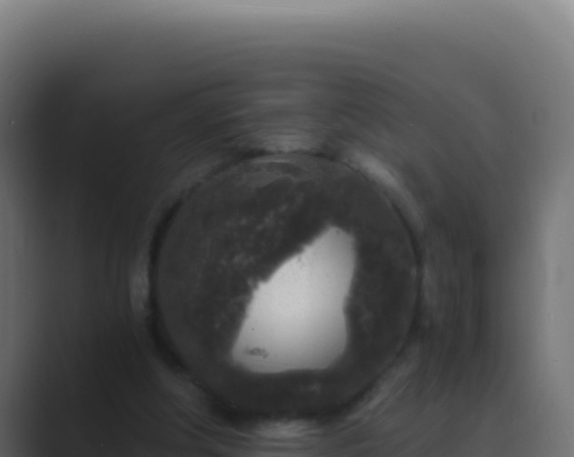 X0000089750202200706281631