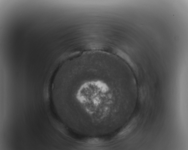 X0000089750203200706281631