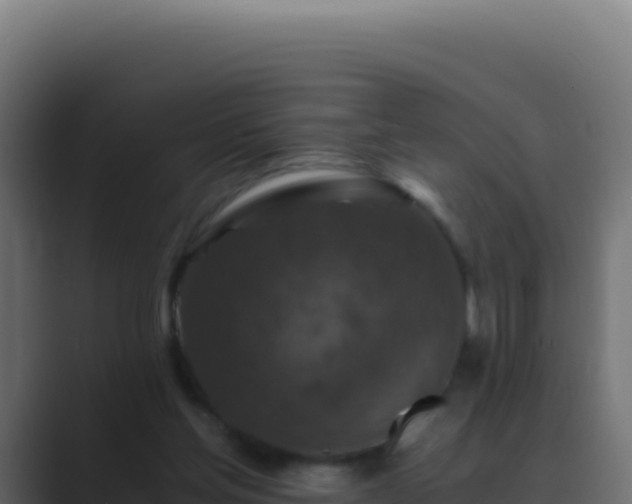 X0000089750205200706281631