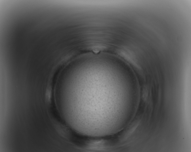 X0000089750206200706281631