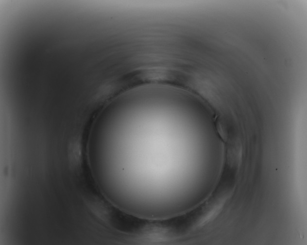 X0000089750207200706281631