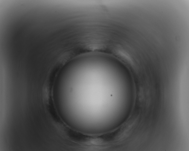 X0000089750210200706281631