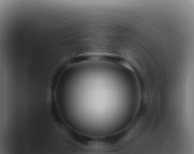 X0000089750211200706281631