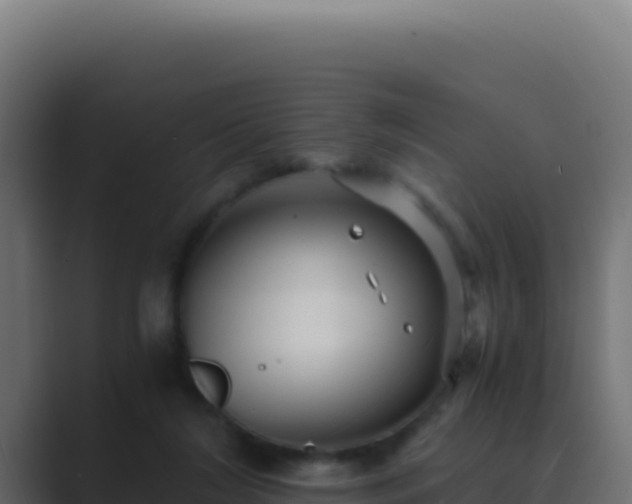 X0000089750212200706281631